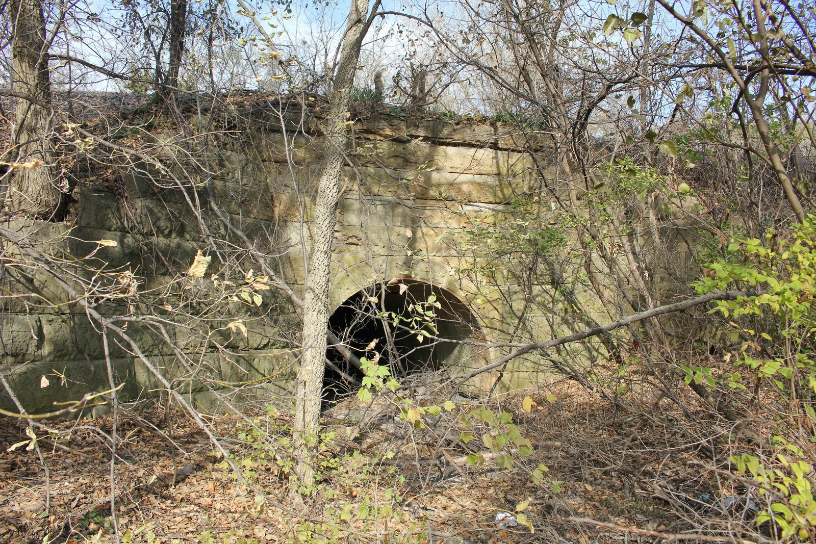 Overview